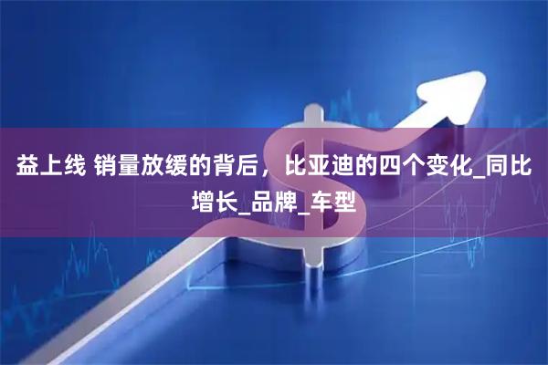 益上线 销量放缓的背后，比亚迪的四个变化_同比增长_品牌_车型