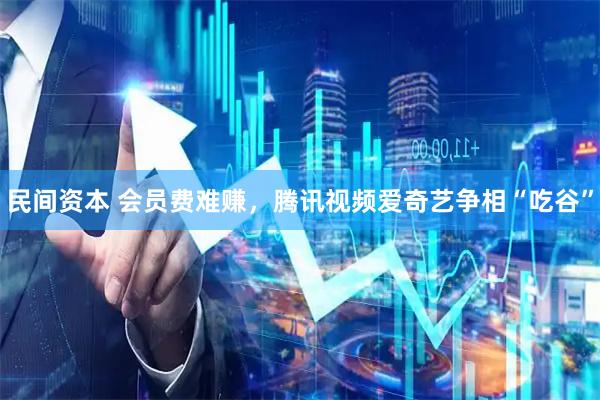 民间资本 会员费难赚，腾讯视频爱奇艺争相“吃谷”