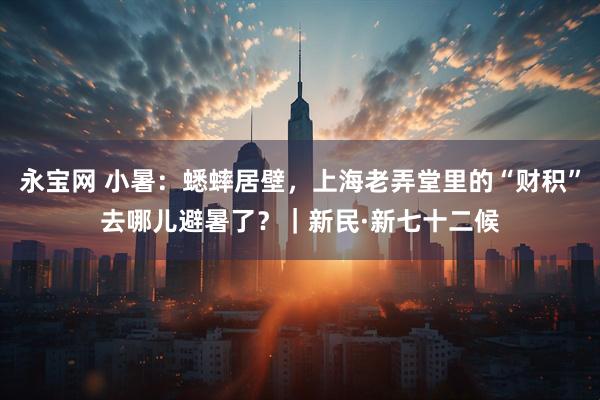 永宝网 小暑：蟋蟀居壁，上海老弄堂里的“财积”去哪儿避暑了？｜新民·新七十二候